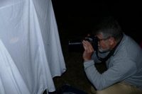 abc_st_privat_observation_insectes_nocturnesc_laurent_belier_pnc