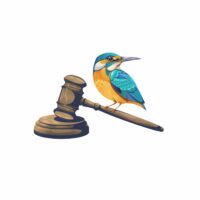 Tribunal des oiseaux