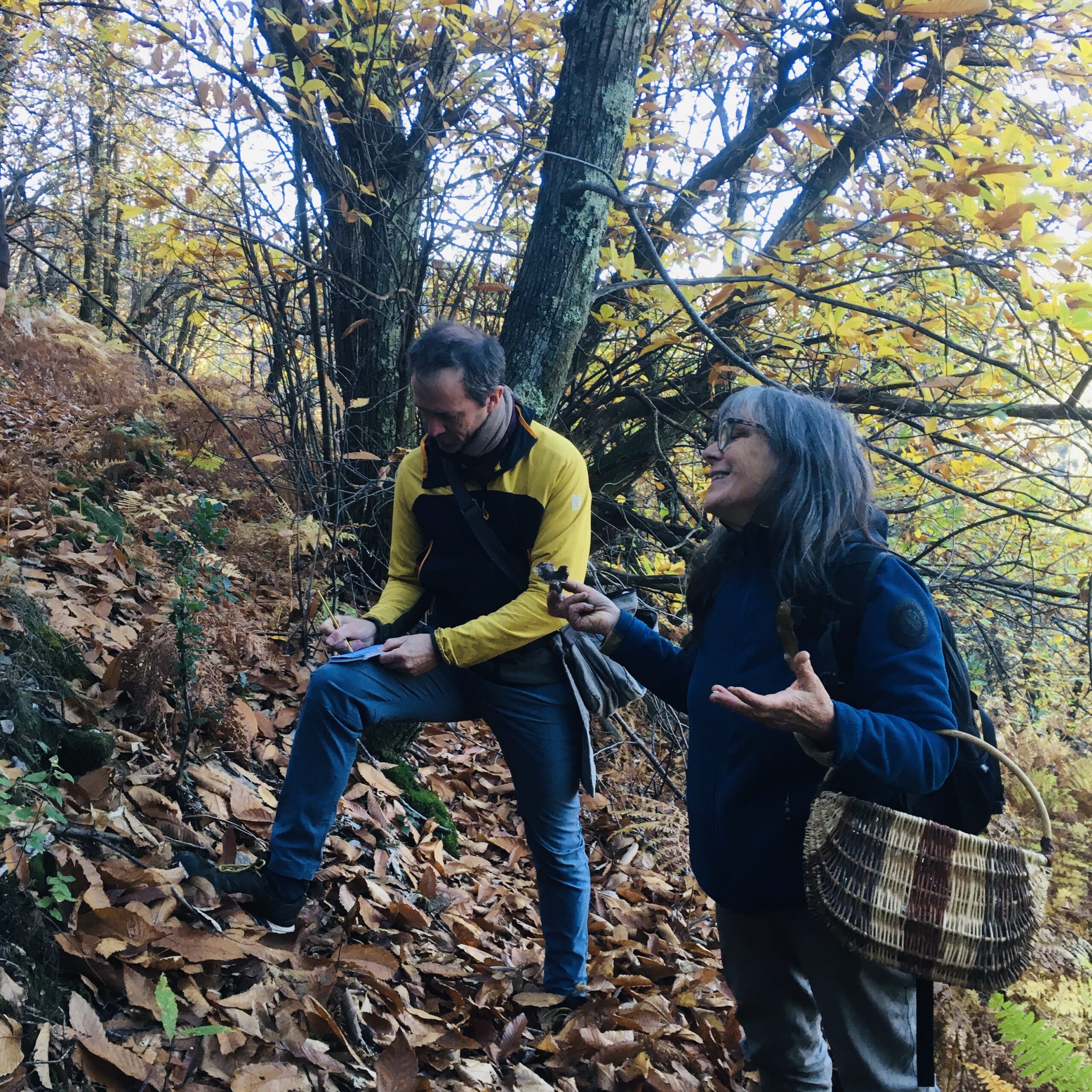 Reportage champignons scaled.jpg