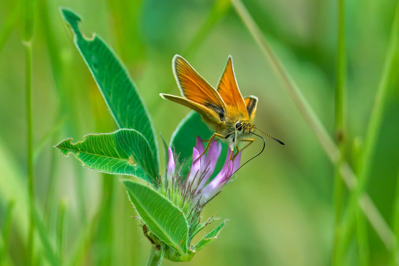 Crédit Photo Fotoblend