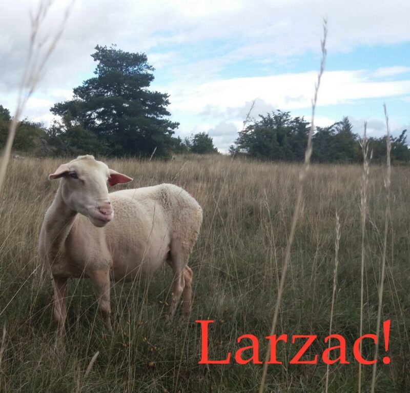 Larzac