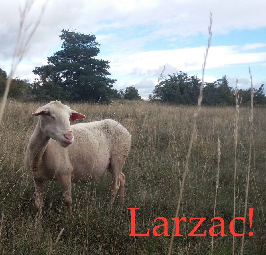 Larzac