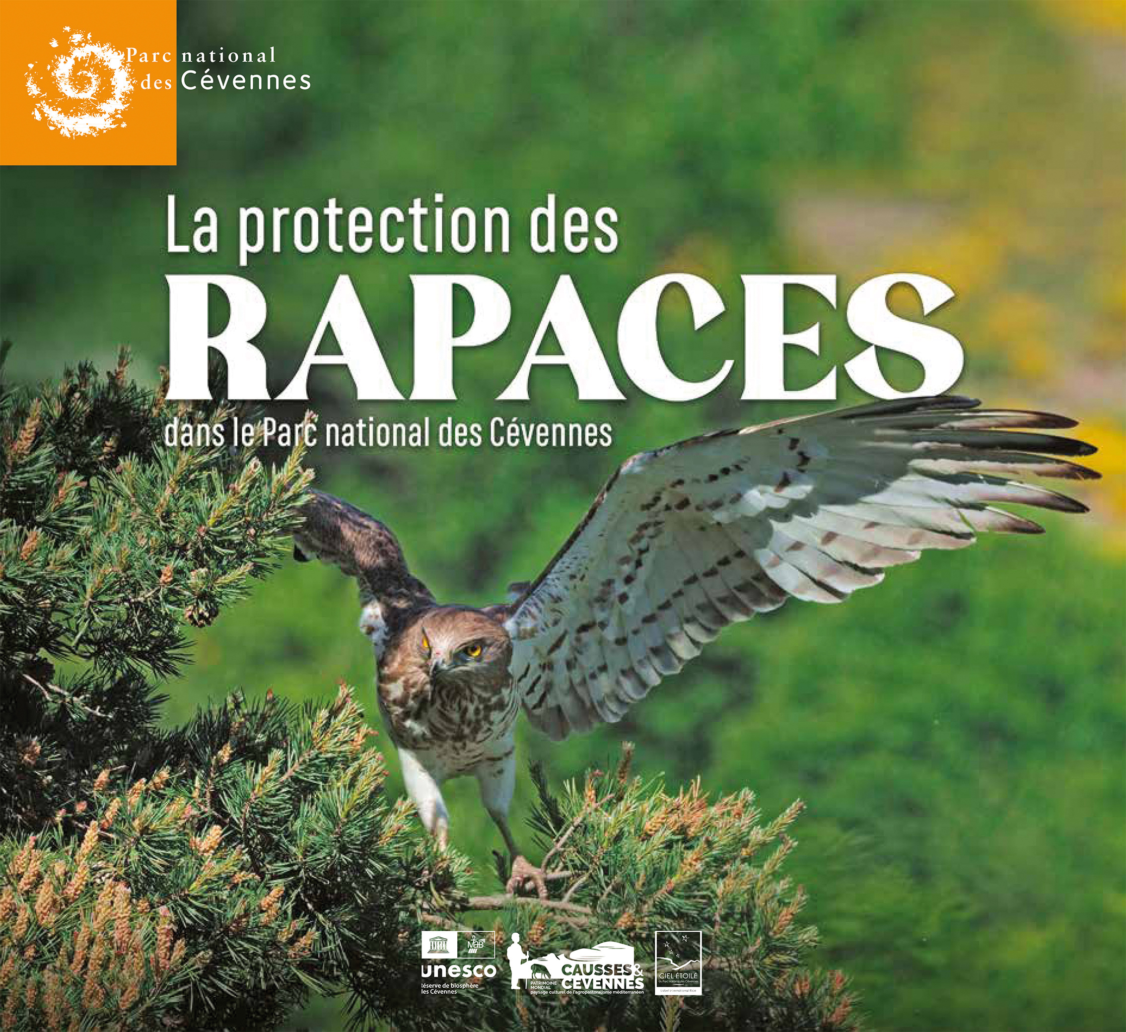 SequenceParcaout2026