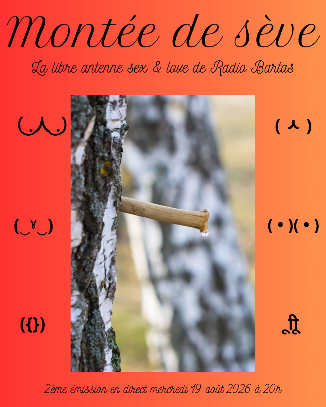Copie de Montée de sèvé