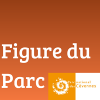 Figure du parc